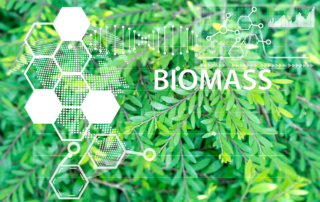 Biomass in Morocco