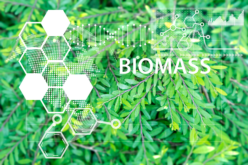Biomass in Morocco